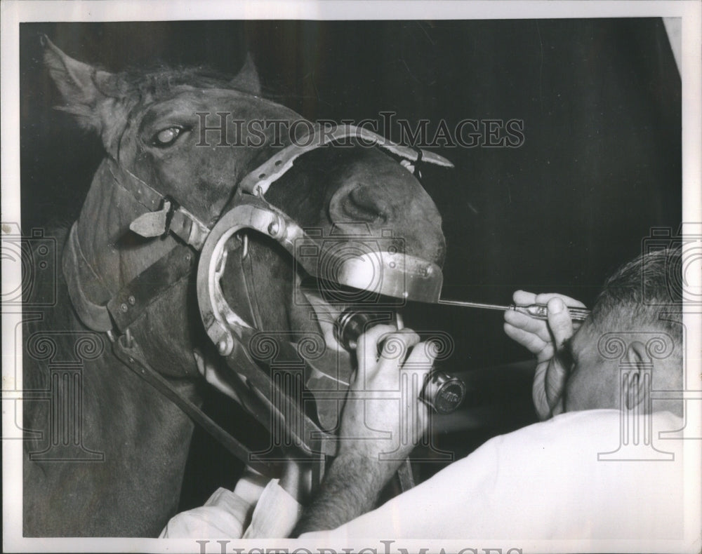 1954 Press Photo Horse Player Dr KH Keown Source Rider