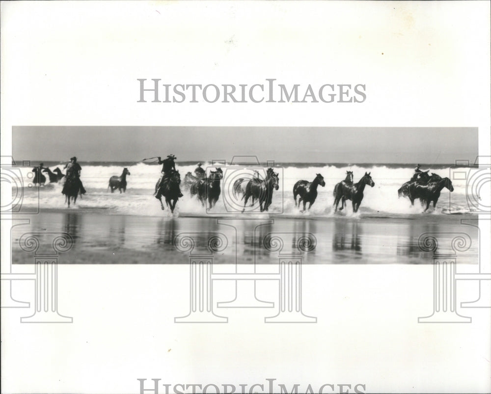 1975 Press Photo Picture Wild Home Ocean