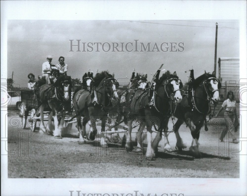 Press Photo Mid America Horse Festival St Charles Clyde