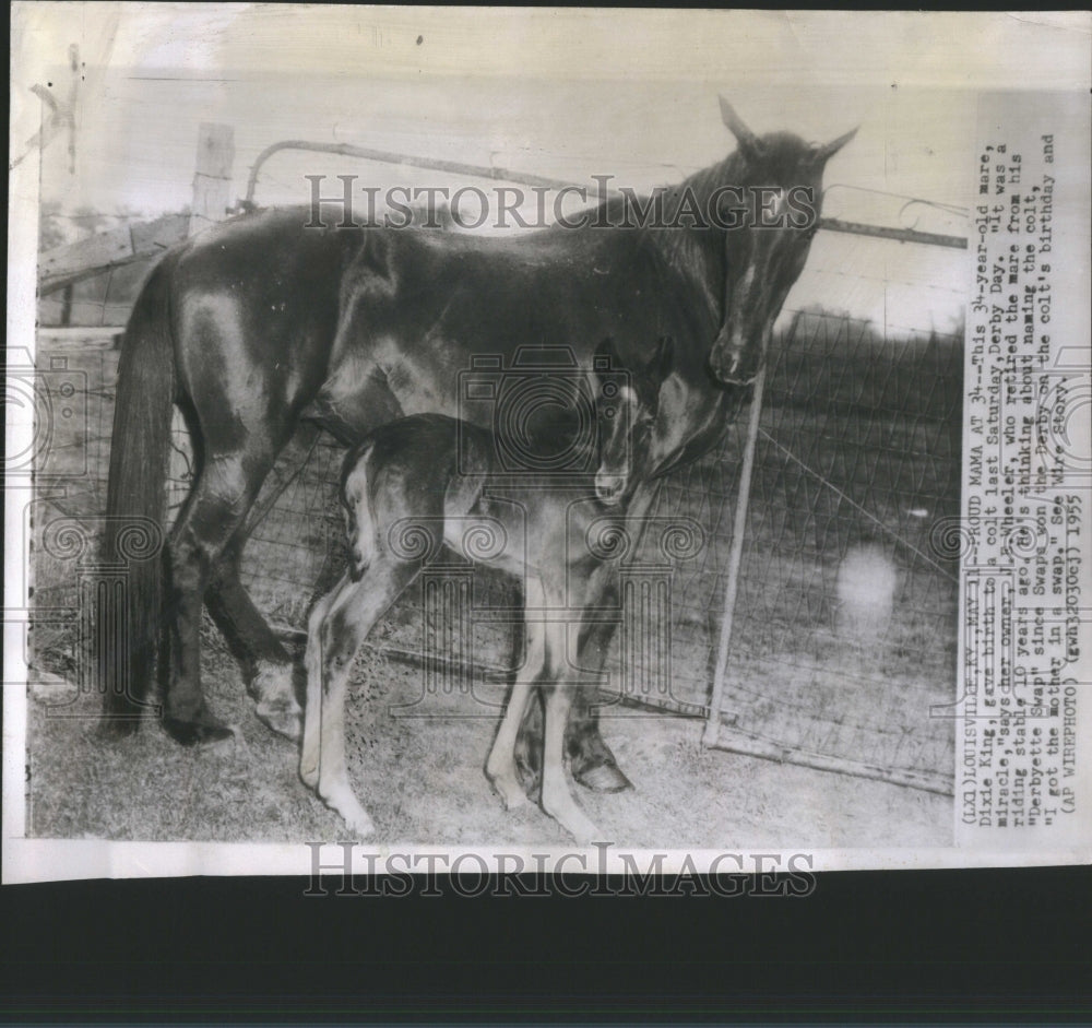 1955 Dixie King Birth Calt Derby Day Saturd-Historic Images