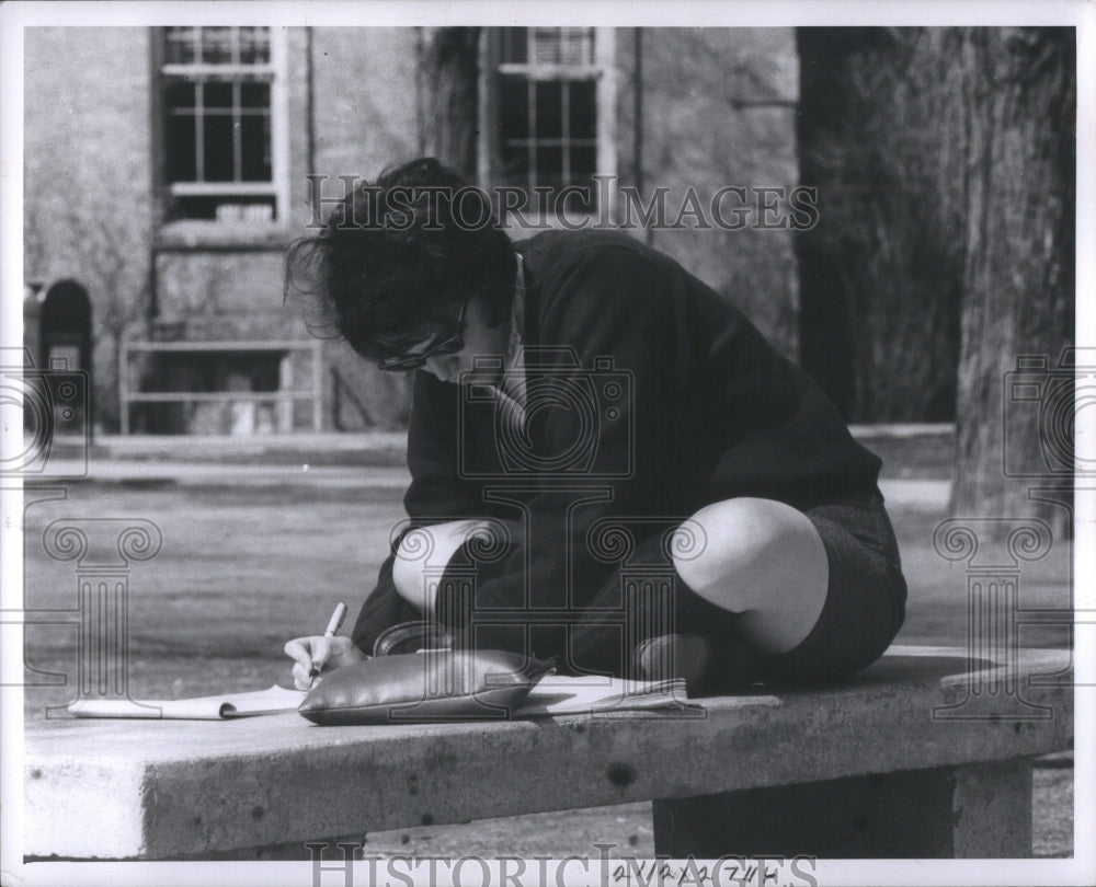 1964 Press Photo University of Michigan Student Tree