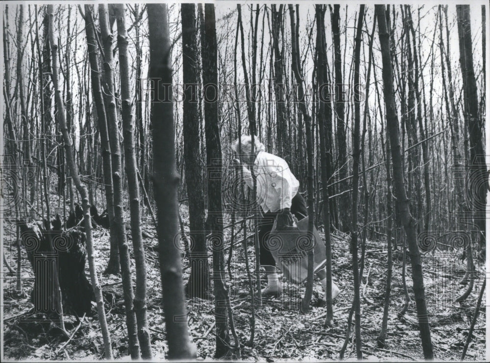 1972 Press Photo Mushroom Fleshy Spore Food Source