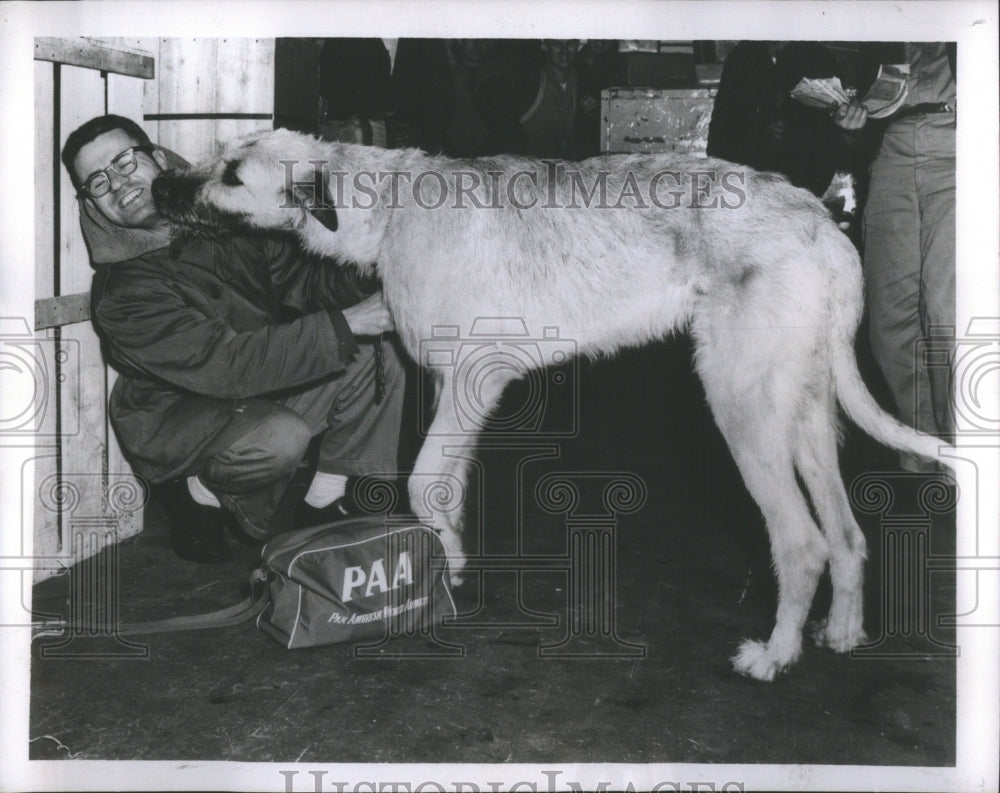 1956 Press Photo Companionship Protection