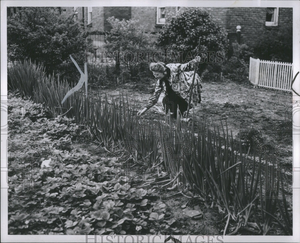 1948 Press Photo Mrs. Frank R. Pint Tending Home Garden