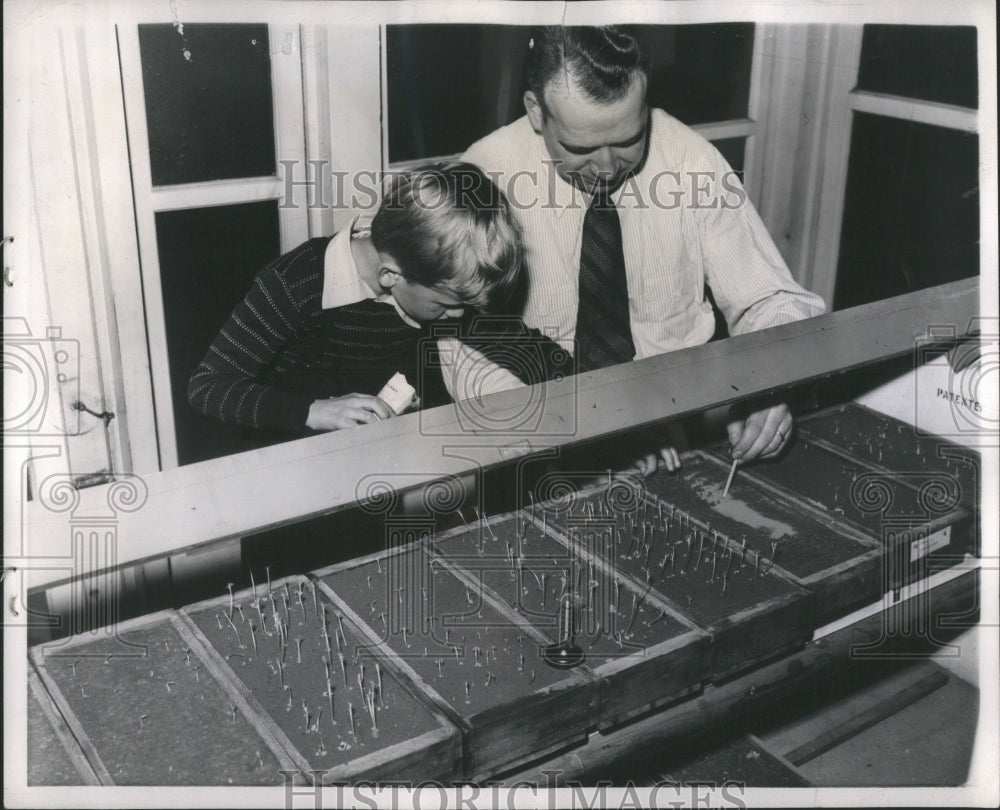 1943 Victory Gardens Cochran Tomato Cabbage - Historic Images