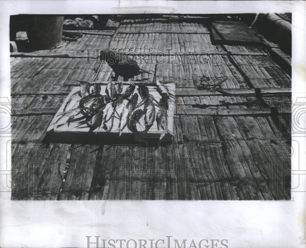 1954 Press Photo William Willis Raft Solo Pacific Ocean