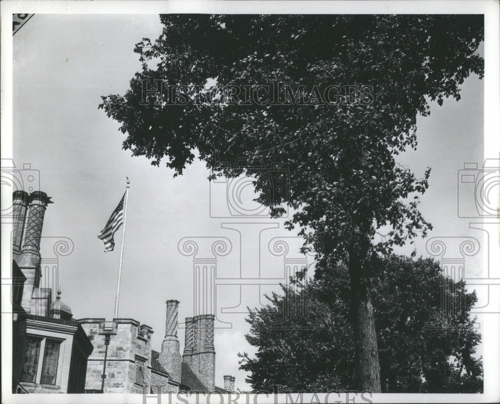 1982 Press Photo Alfred Wilson Home Tree Landscape