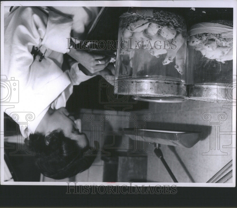 1954 Press Photo Disease