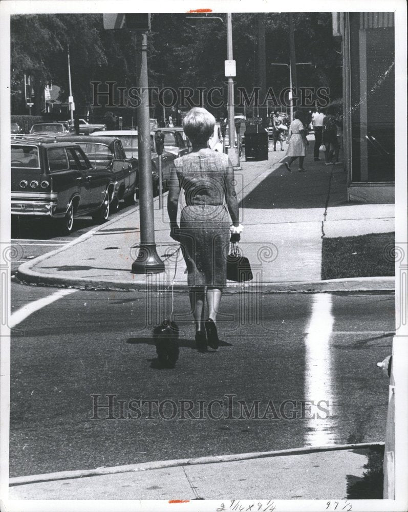 1965 Kercheval Stclair Carrying Woman Bag - Historic Images