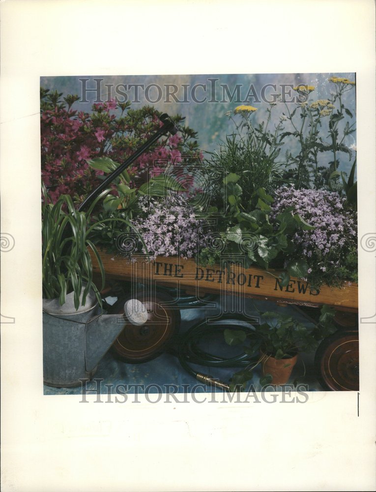 Detroit Banner Flowers - Historic Images