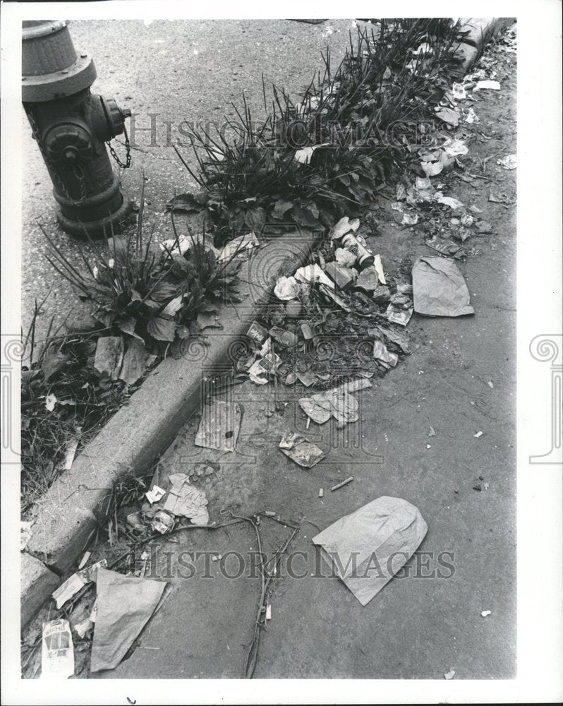 1973 Litter Detroit Street Jefferson - Historic Images