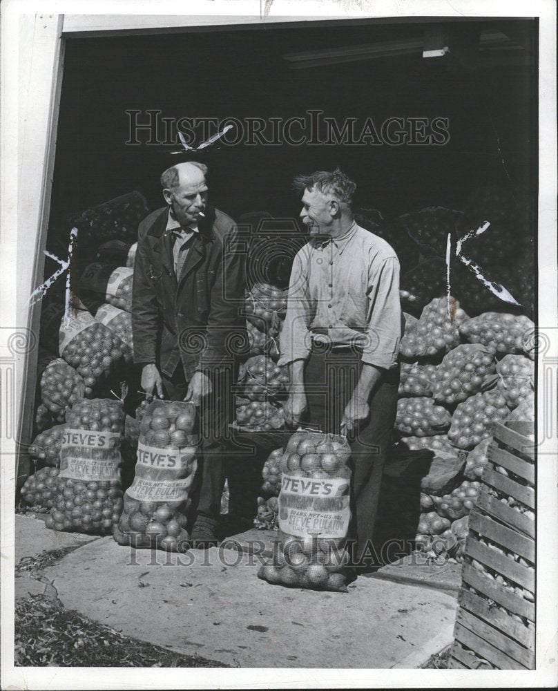 1942 Onion Bulb Species Genus Allium - Historic Images