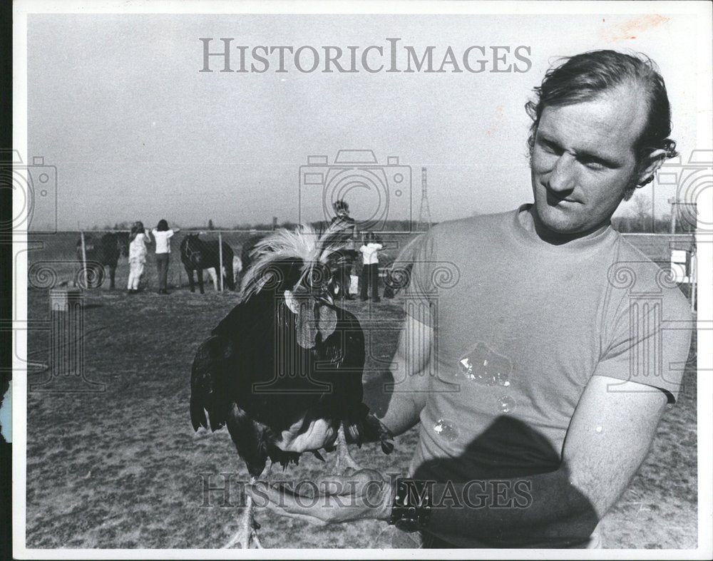 1972 West land Menagerie Bill Mayen Rooster - Historic Images