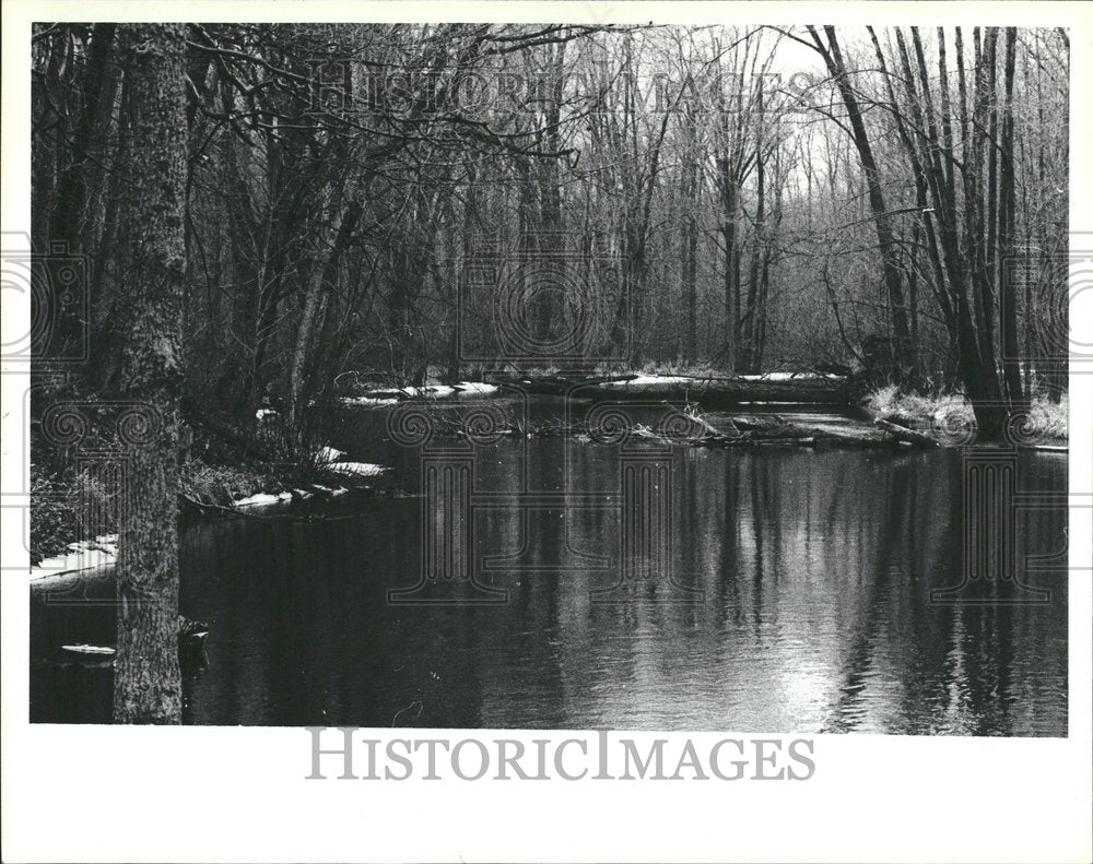 1980 Island State Lake Area Oak Green - Historic Images