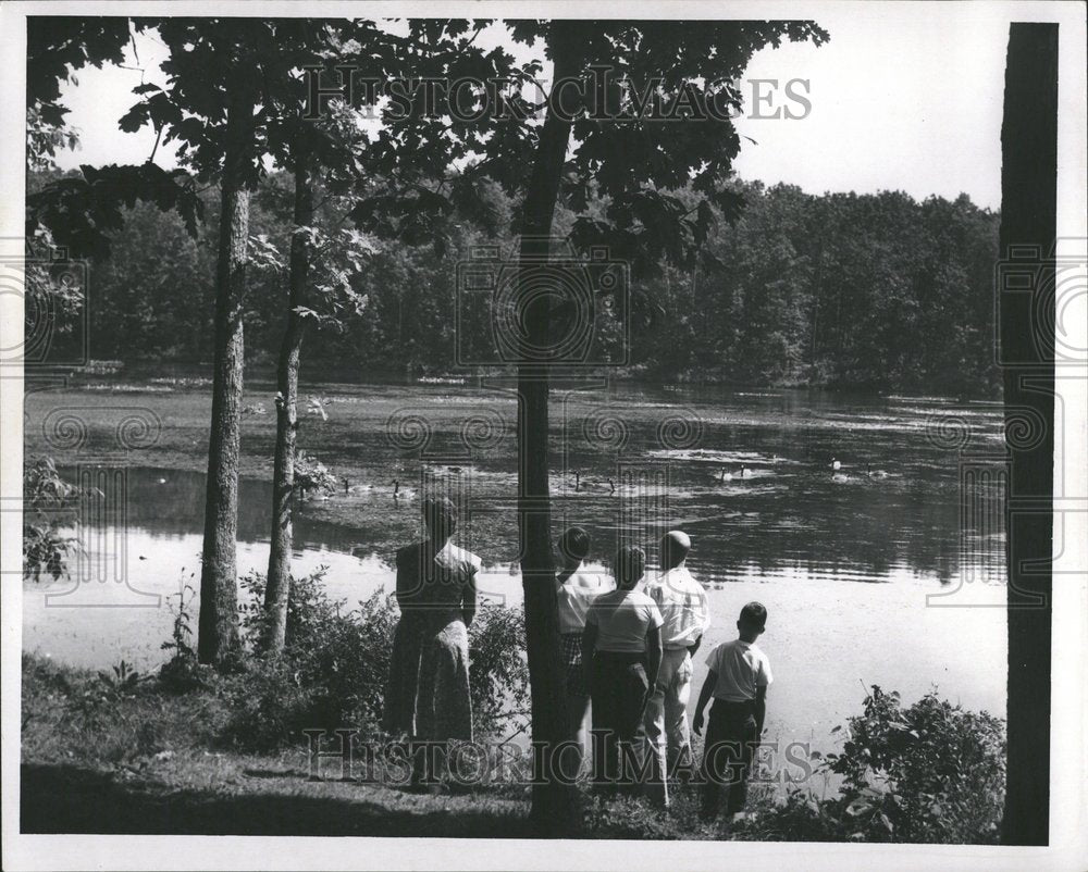 1958 Group Canadian Geese Nature Center - Historic Images