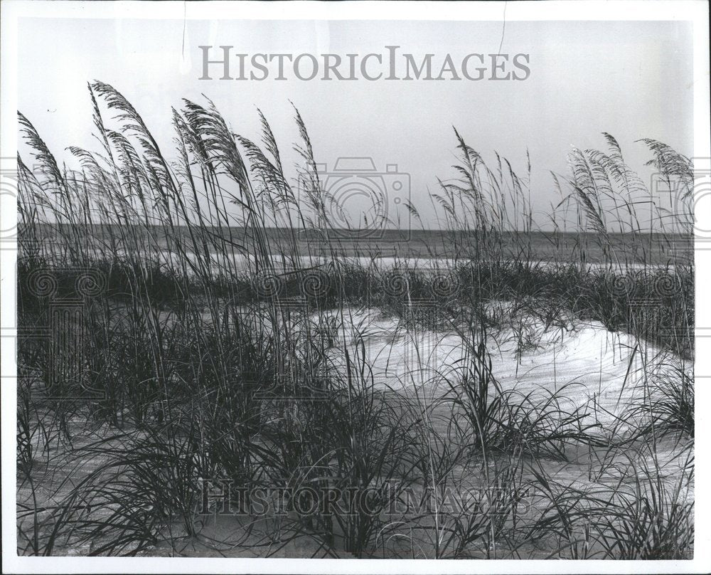 1970 Pensacola Beach Florida - Historic Images