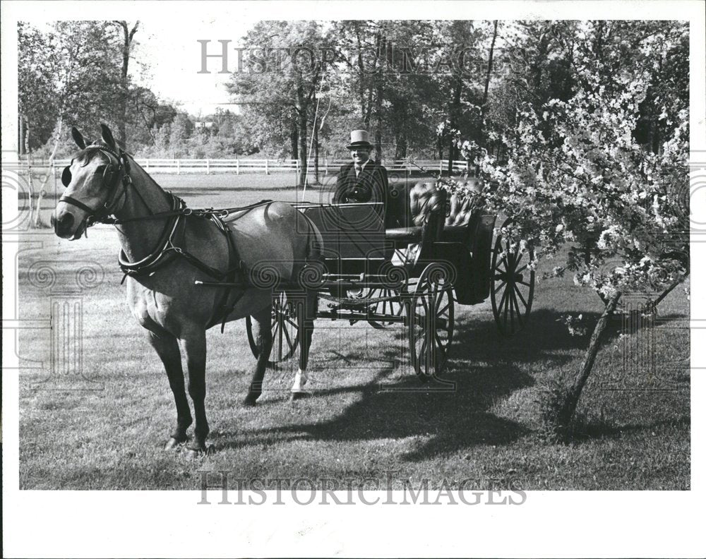 1984 Jerry Zaetta Royal Carriage Weddings - Historic Images
