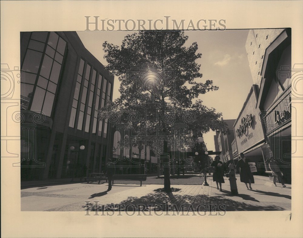 1993 Kalamzoo Downtown Hall Michigan Joe - Historic Images