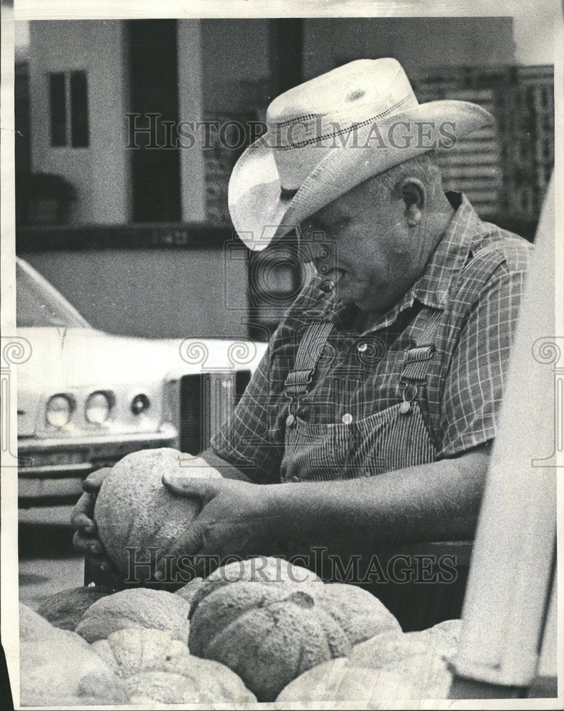 1971 Cantaloupe Species Family Melons - Historic Images