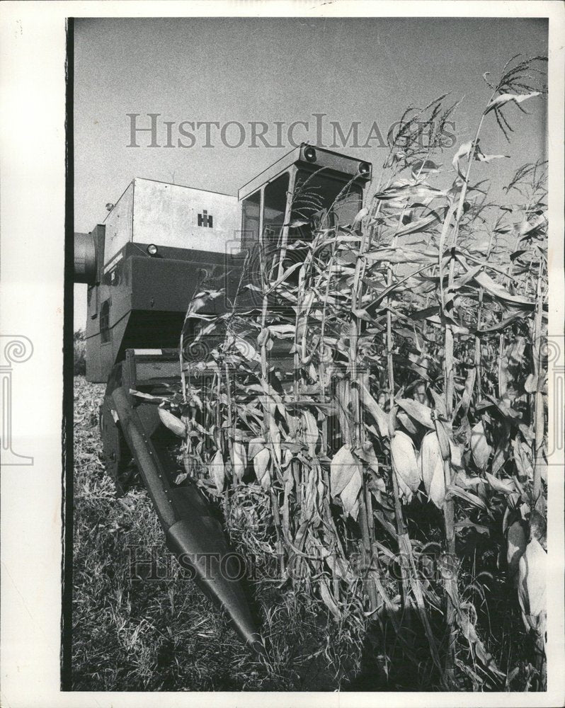 1976 Corn Harves Beints Farm - Historic Images