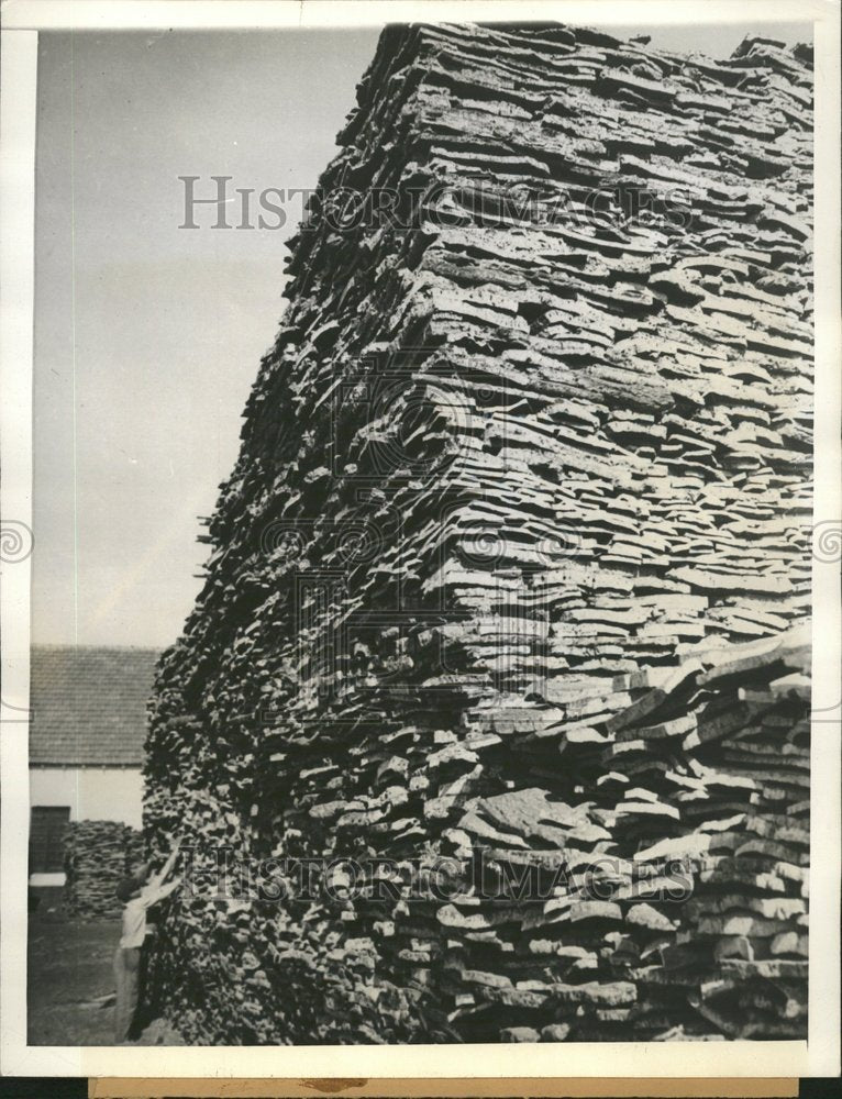 1936 Raw Cork Pile Factory Portugal - Historic Images