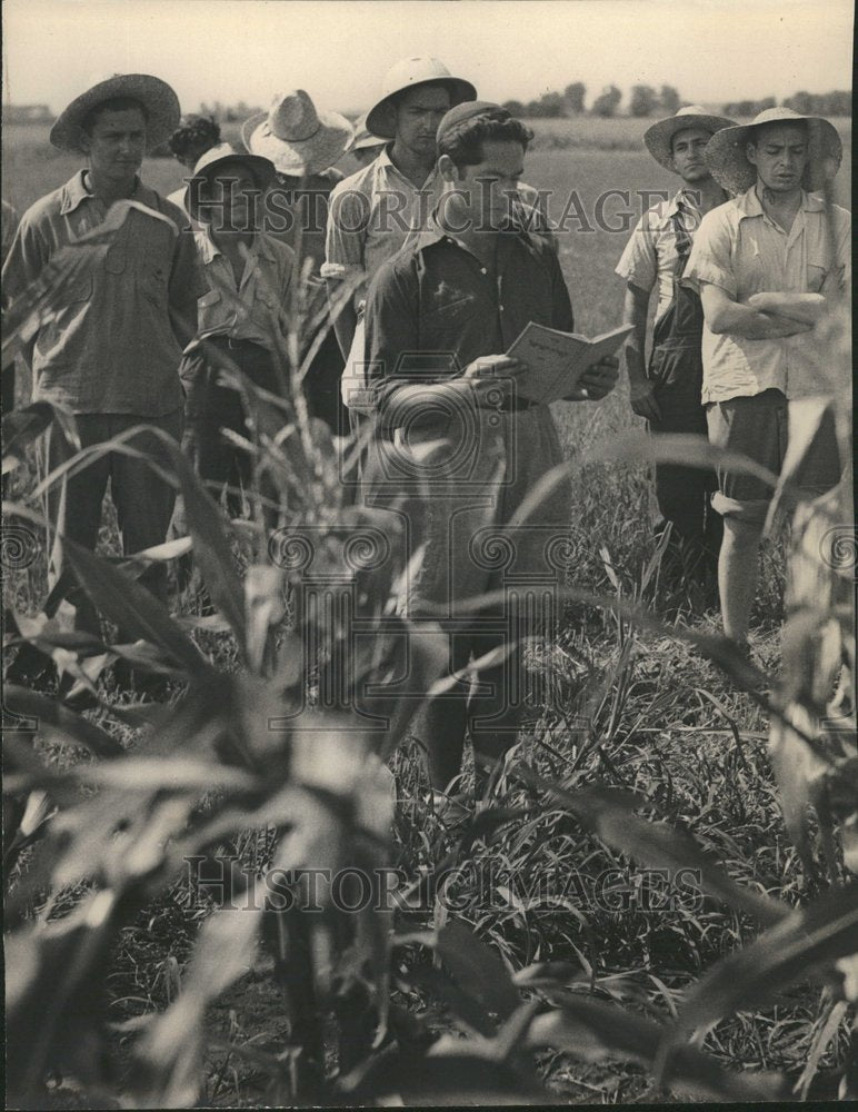 1943 Farming Press Photo - Historic Images