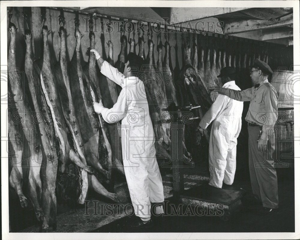 1955 Cold Storage Plant Pork Farm Pigs - Historic Images