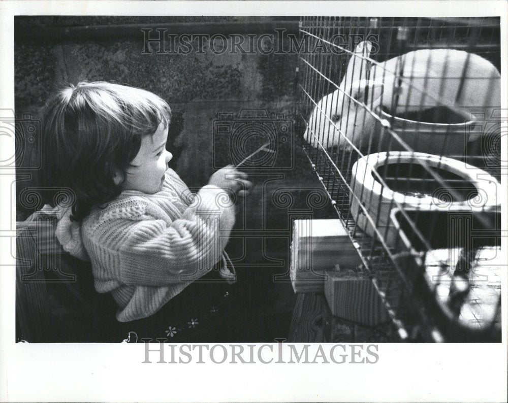 1977 Cute Toddler Girl With Rabbit at Fair - Historic Images