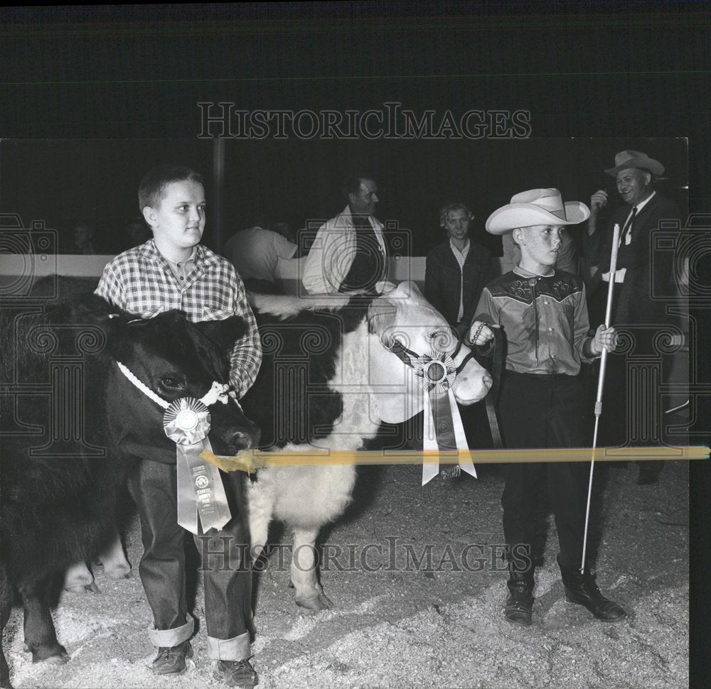 1965 FFA Steers Judged at Manatee Fair - Historic Images