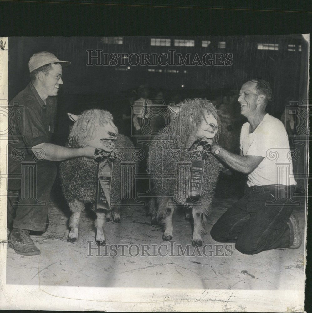 1950  Cotswold ram owned by D. B. Mitchell, - Historic Images