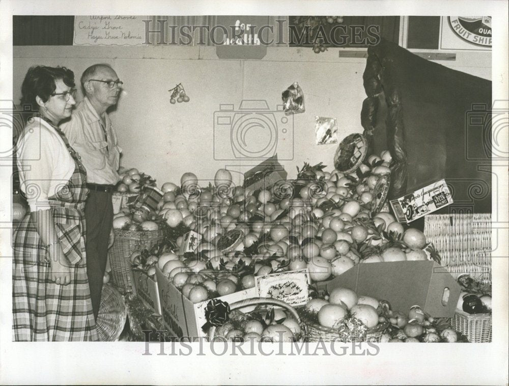 1960 Outstanding Display Sarasota Groves - Historic Images