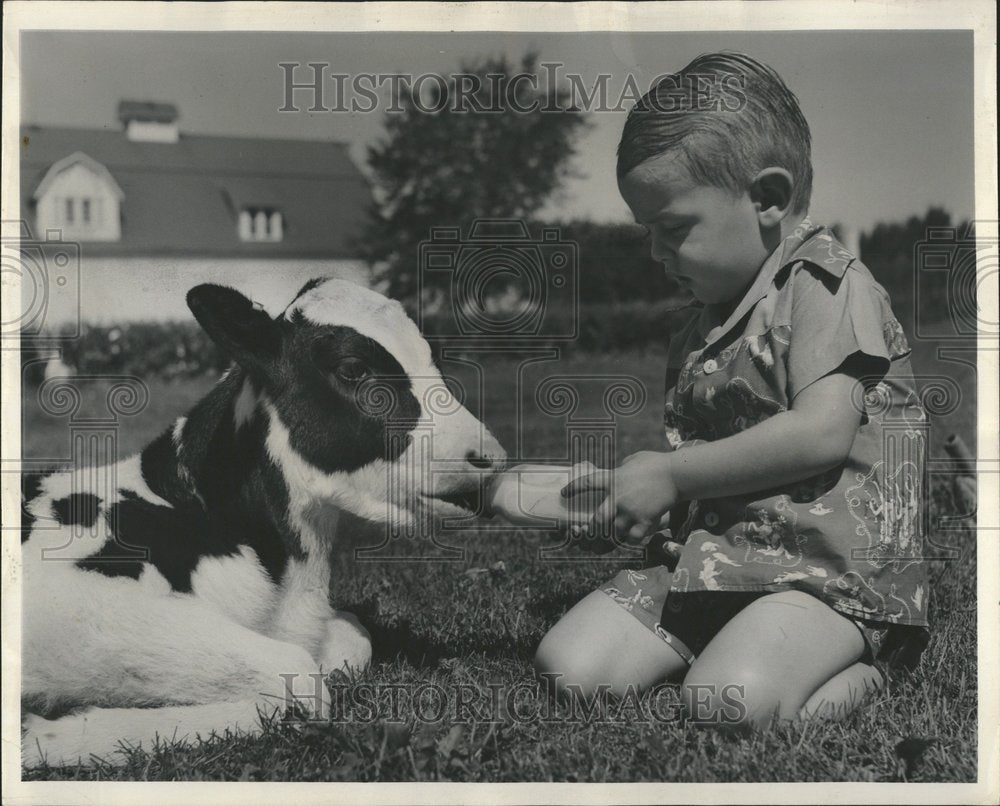 1952 Donnie Burns Feeds Cow A Milk Bottle - Historic Images