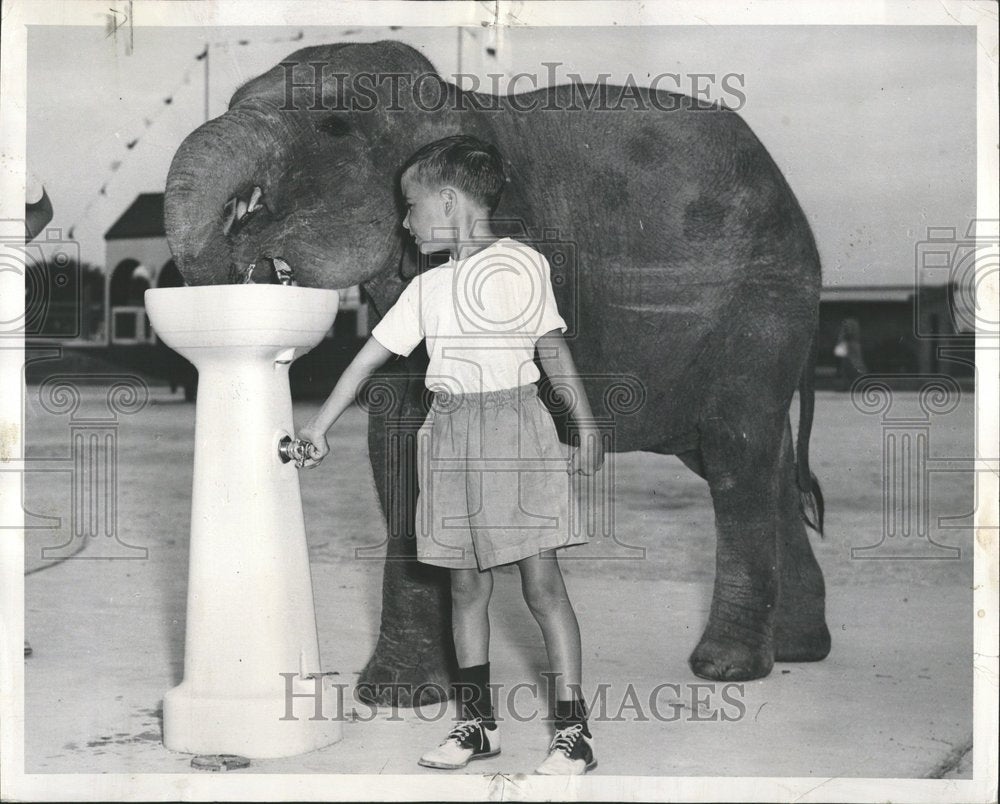 1951 Jessie Elephant Hawthorn Melody Farms - Historic Images