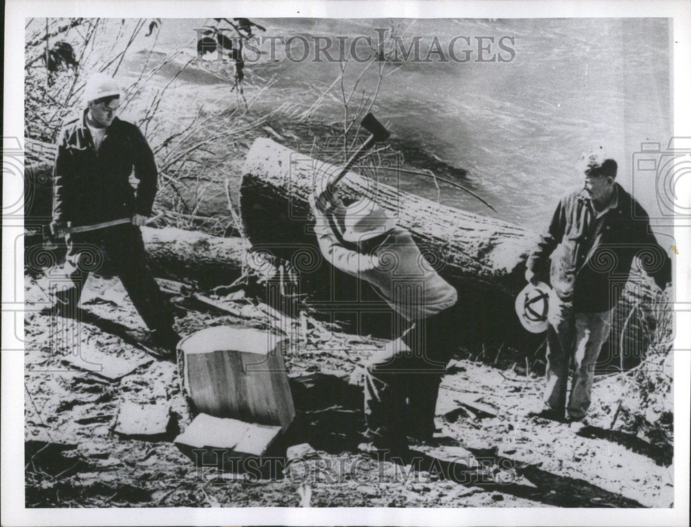 1965 Job Corpsmen Split Logs Alsea, Oregan - Historic Images