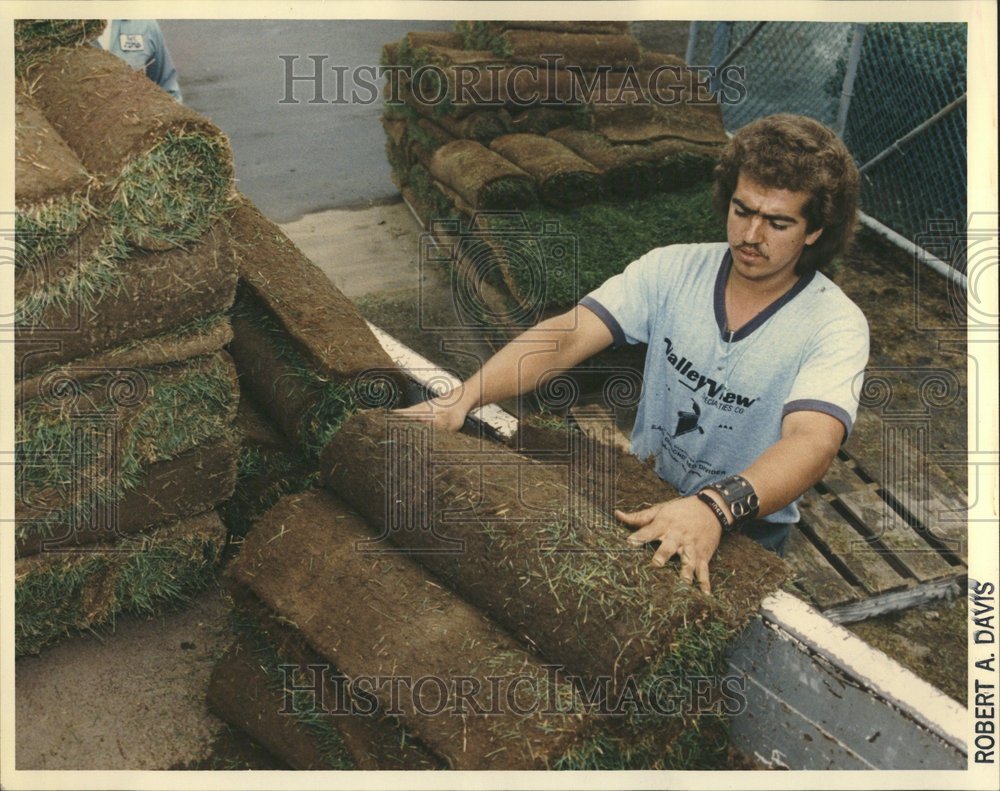 1992 Dave Munoz Sod Nursery Pulaski Truck - Historic Images