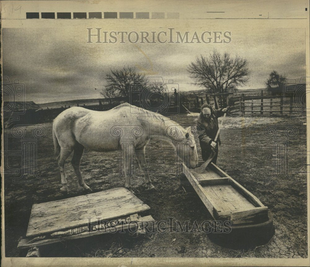 1971 Marry Verspille Land Loves Cindy Mare - Historic Images