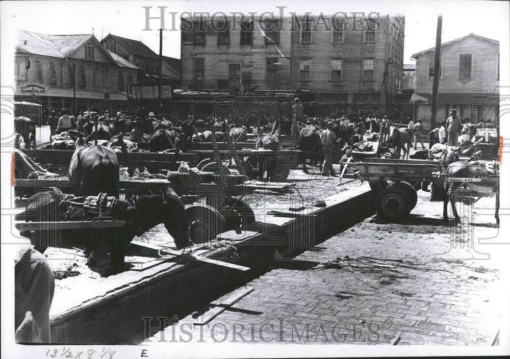 1966 Suyana Market Baffaloos People - Historic Images