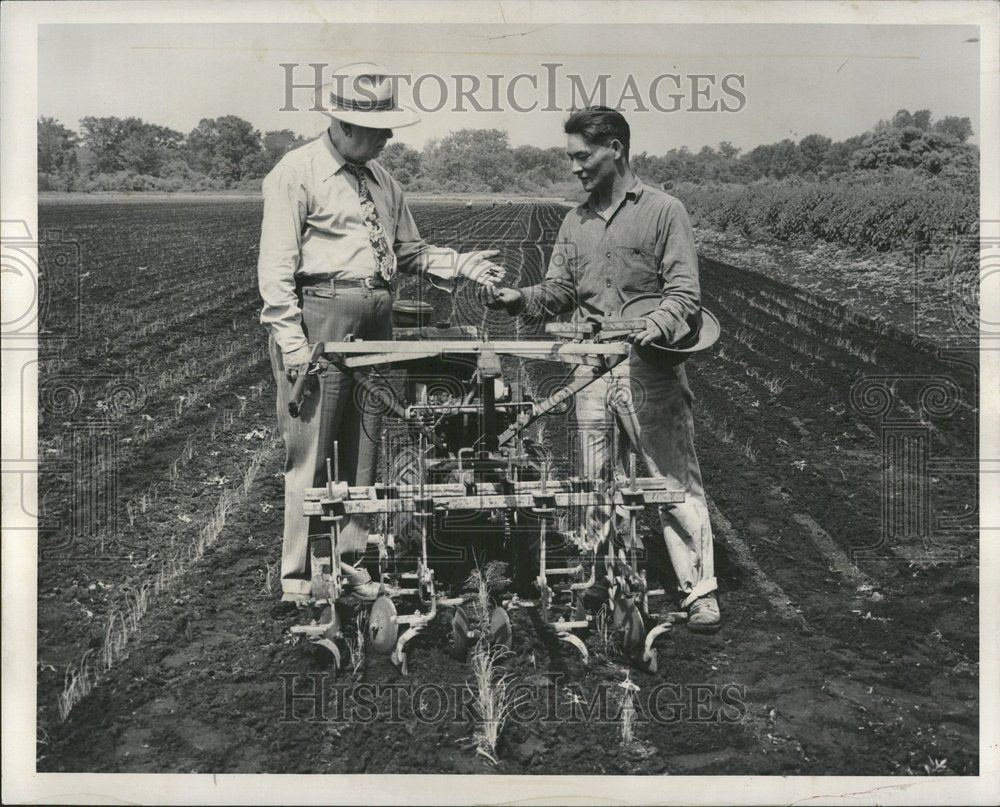 1950 Fowlerville Onion Farm Paul Milkasa - Historic Images