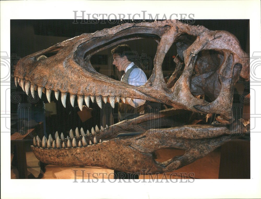 1996 Paul Sereno Dianosaur Skull Saharan - Historic Images