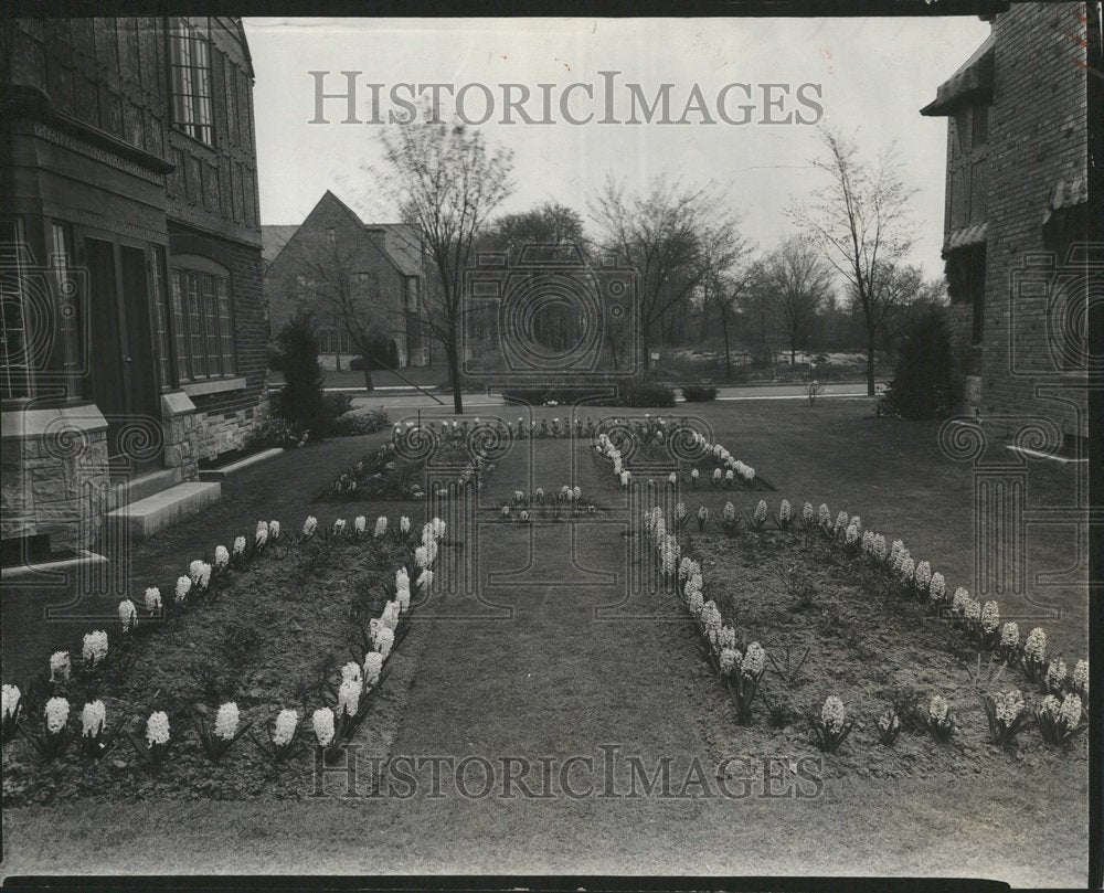 1932 Hyacinths Ann Mayer house Buildings - Historic Images