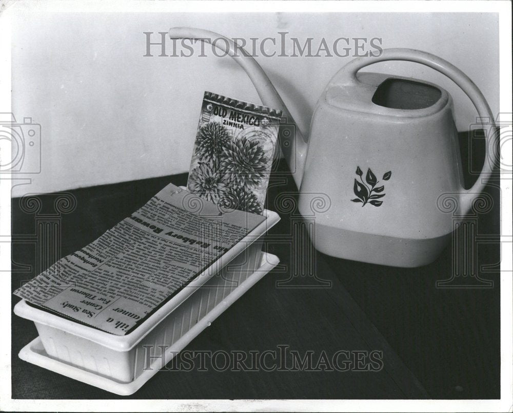 1966 Watering Can With Germinating Seeds - Historic Images