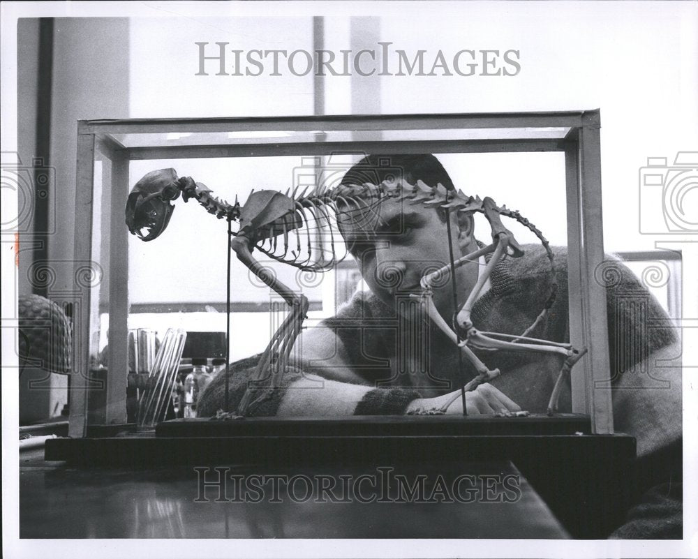 1960 Museum Skeletol Richard Scientist - Historic Images