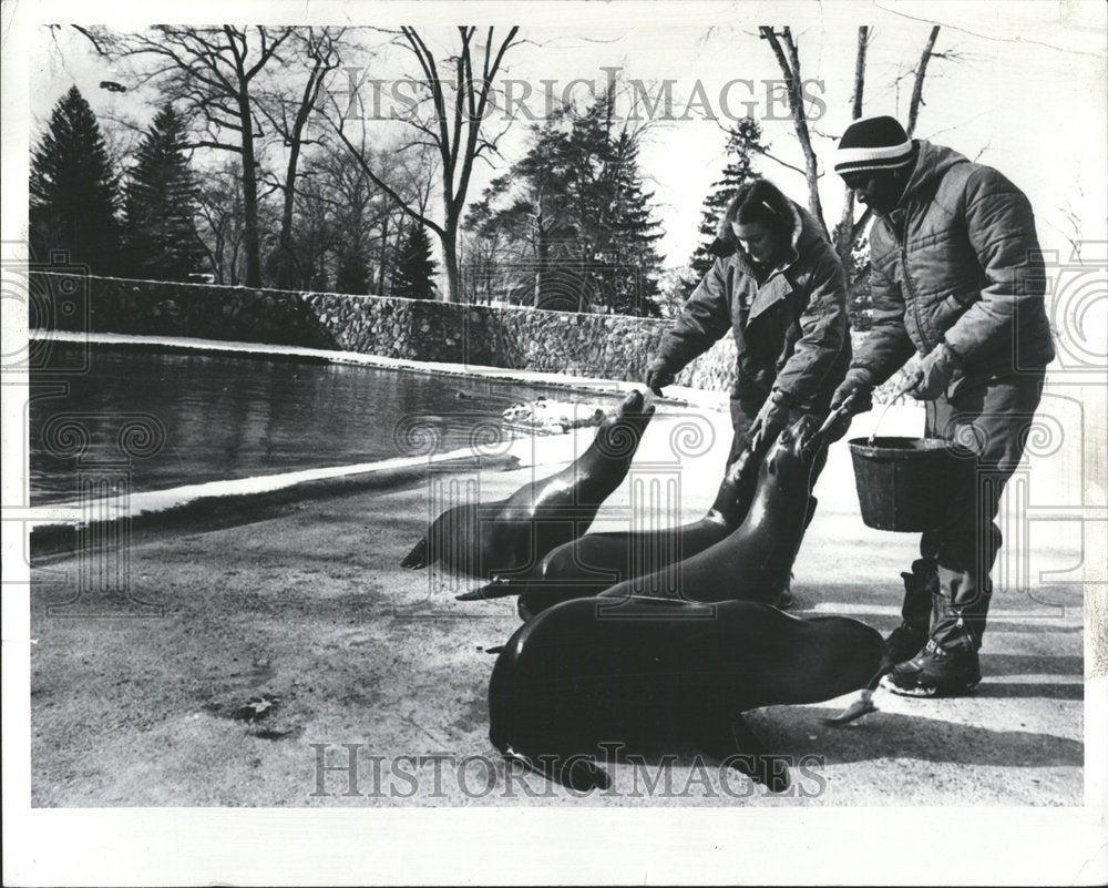 1979 Seals And Trainers Detroit Zoo Exhibit - Historic Images