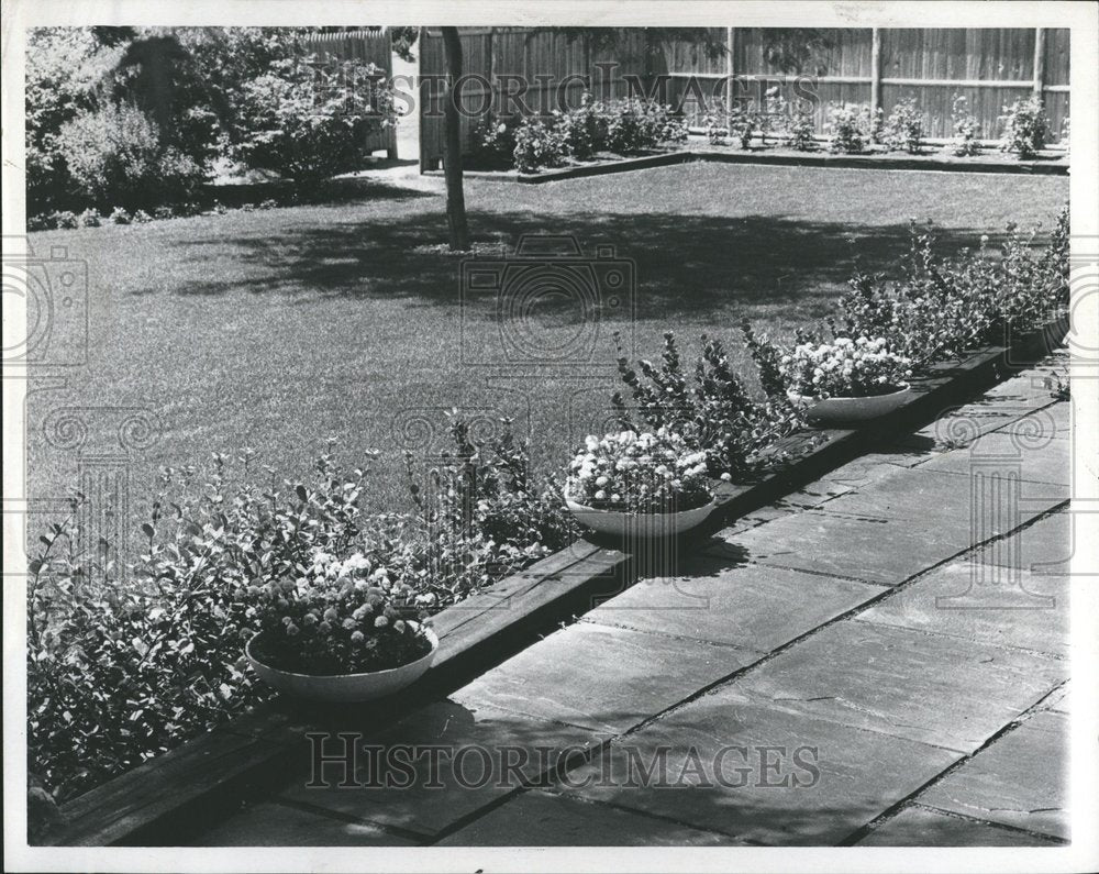 1967 Photo Planters Detroit Sidewalk - Historic Images