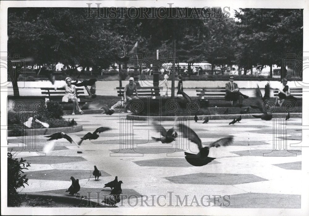 1969 Downtown Pigeons Circus Park Flying - Historic Images