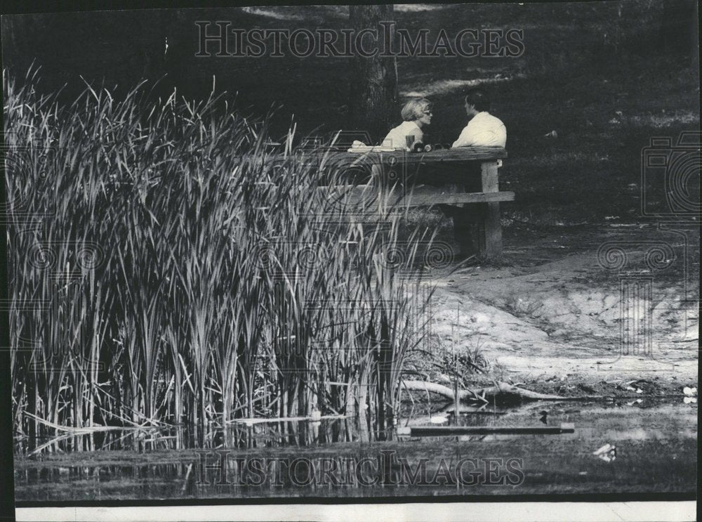 1976  Cook County Forest Preserve Summer - Historic Images