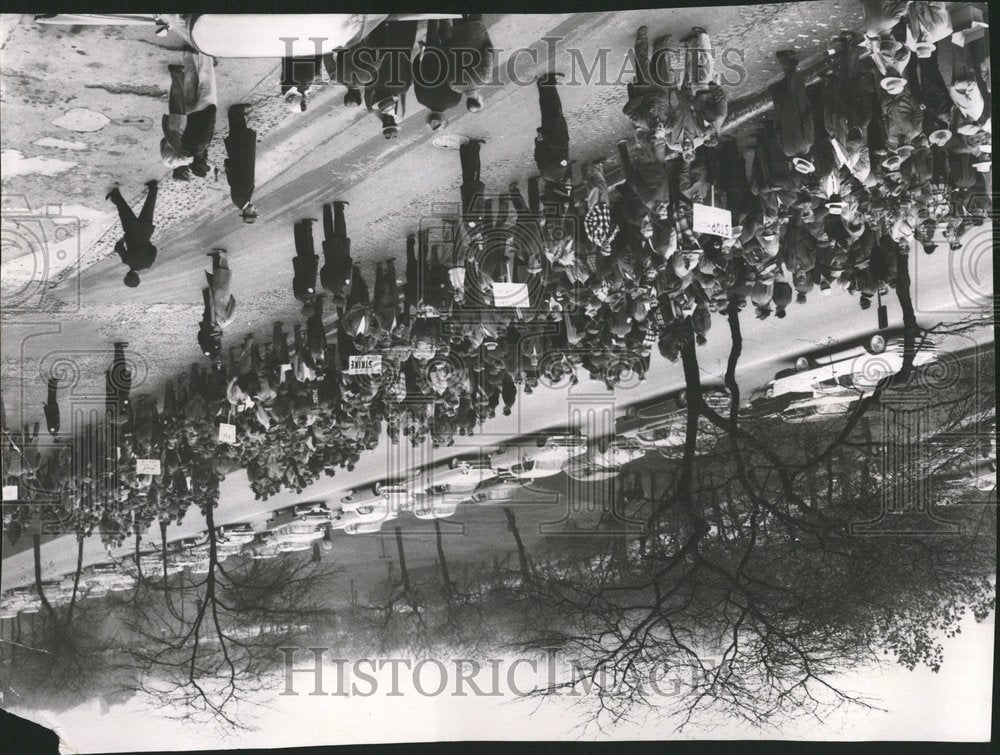 1958 Pickets Fence Harvester Workers Strike - Historic Images