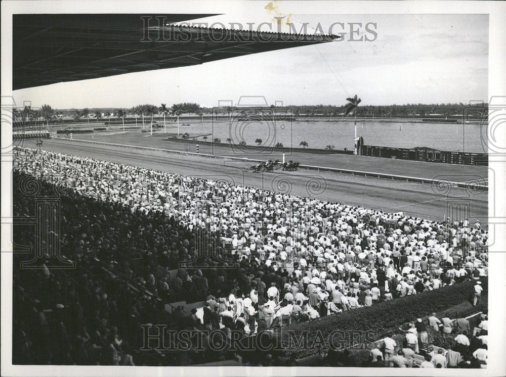 1953 Gulfstrem Parks Princess Rose Jack Har - Historic Images