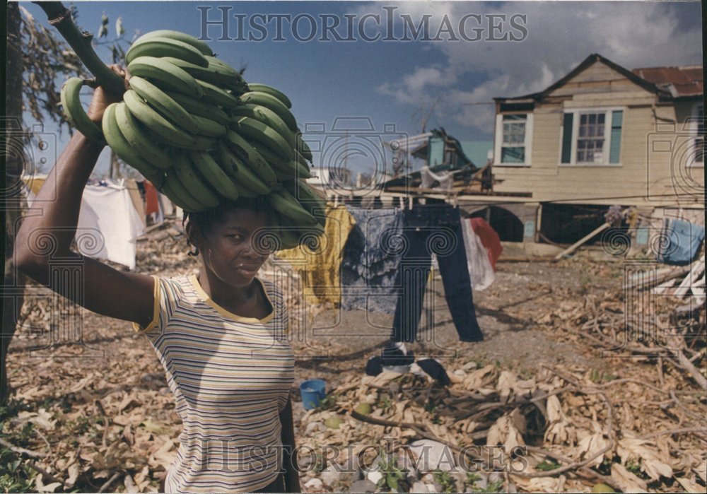 1988 Morant Bay Jamaica Woman Bananas - Historic Images