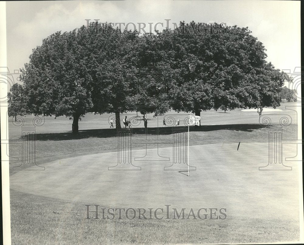 1964 Aurora Country Club 9th Green Golf - Historic Images